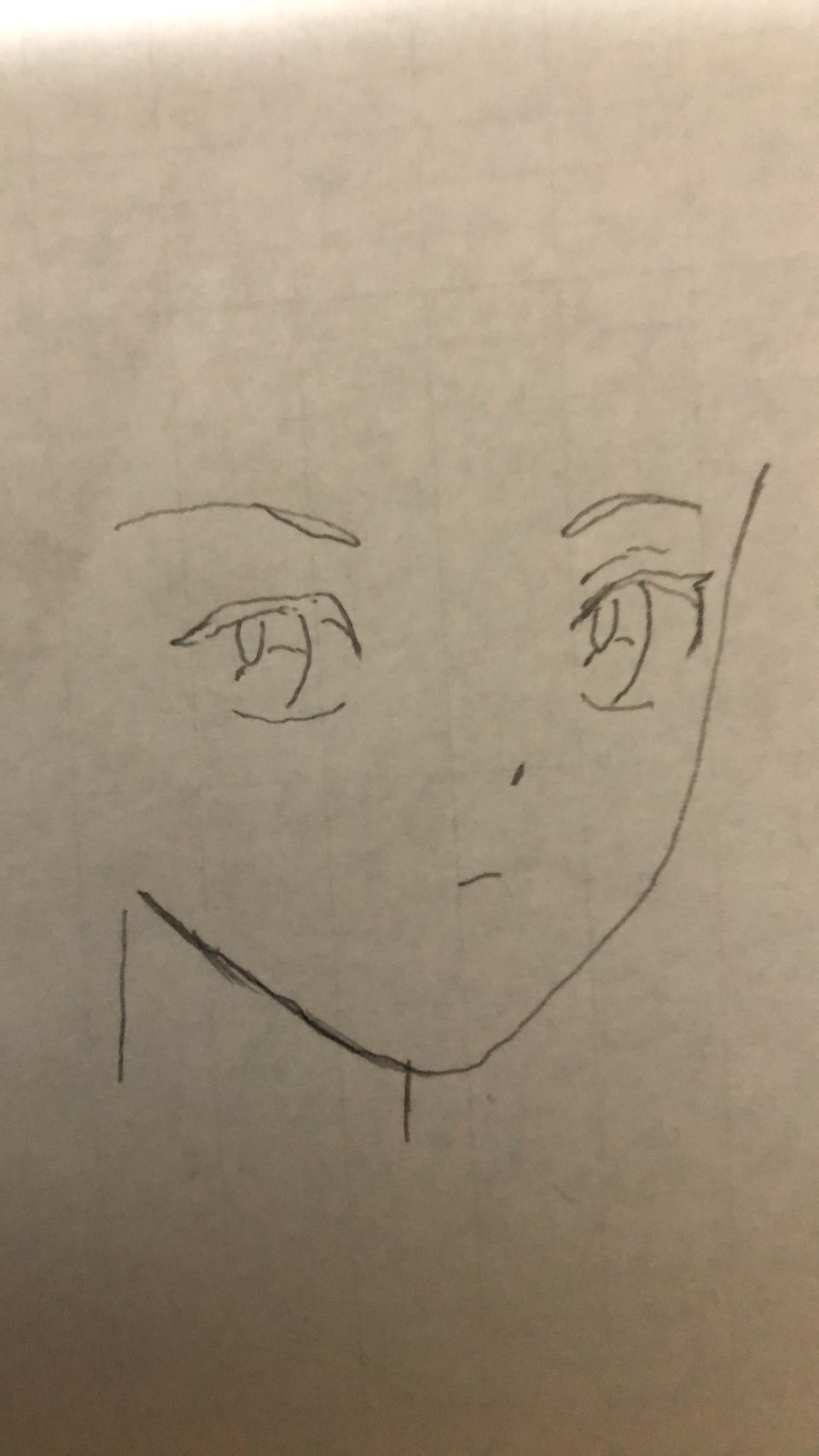 暗い紙に手で描いた顔のスケッチの写真。左右の目と眉、小さな鼻と口、あごの線、首の線だけが、薄い線で描いてある